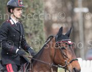 Bologni F Lovestar TosTour 2013- S4 6512 : Arezzo Equestrian Centre, Bologni Filippo, Lovestar, Toscana Tour 2013, foto di Stefano Secchi ©